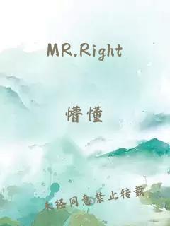 MR.Right